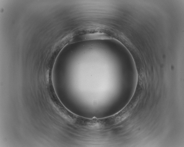 X0000063530454200601201502