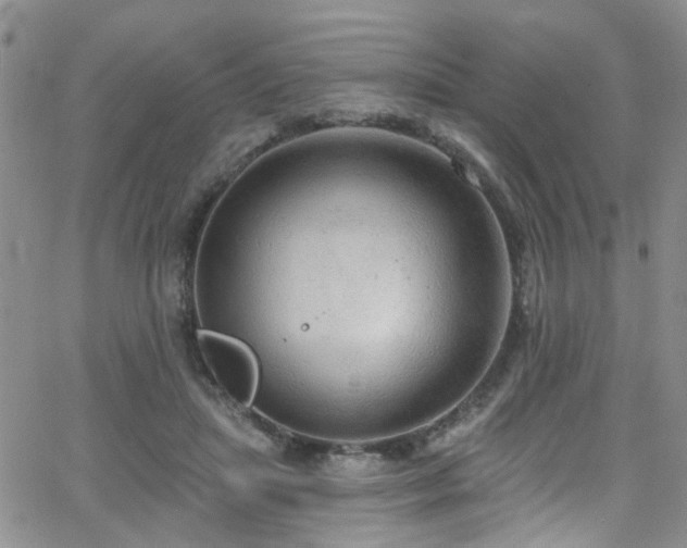 X0000063530455200601201502