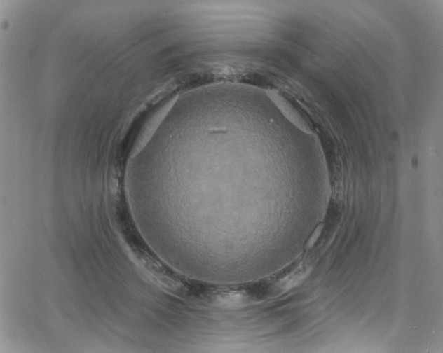 X0000063530456200601201502