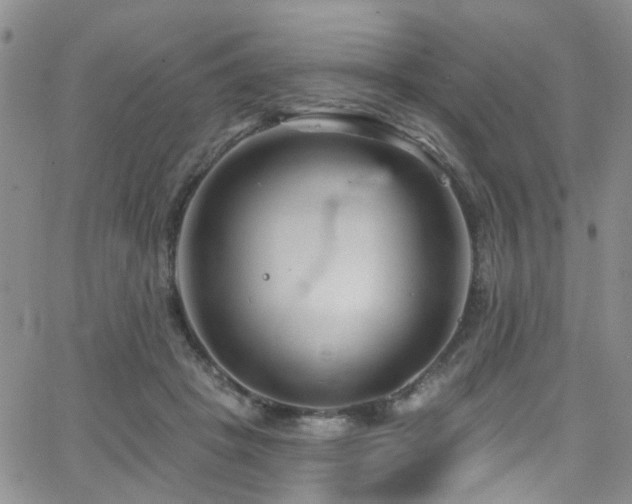 X0000063530457200601201502