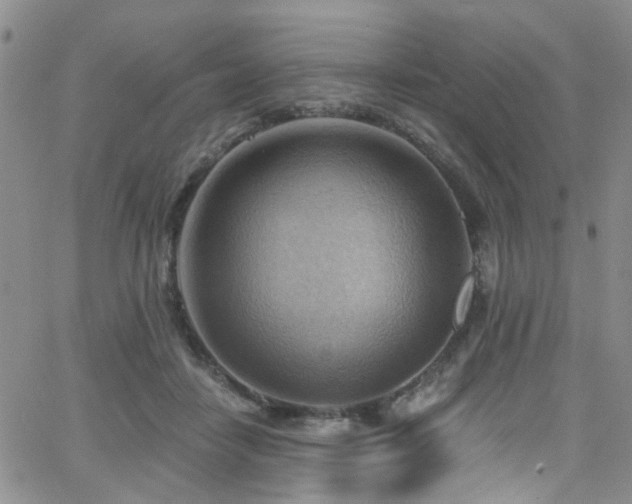 X0000063530458200601201502