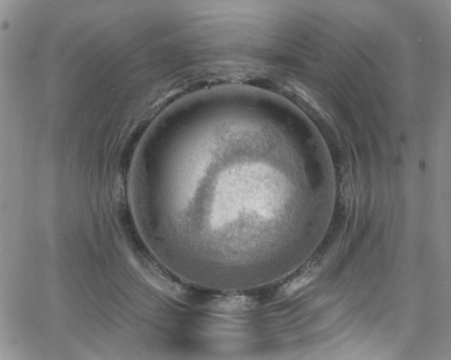 X0000063530459200601201502