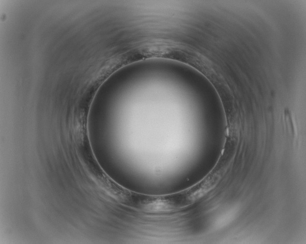 X0000063530460200601201502