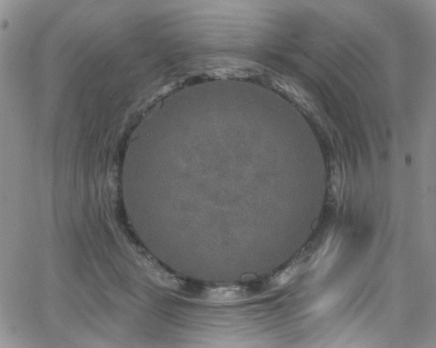 X0000063530461200601201502