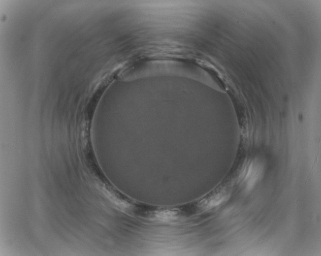 X0000063530462200601201502