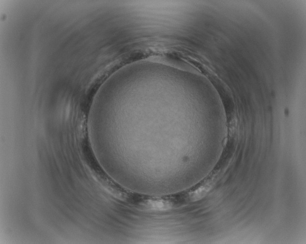 X0000063530464200601201502