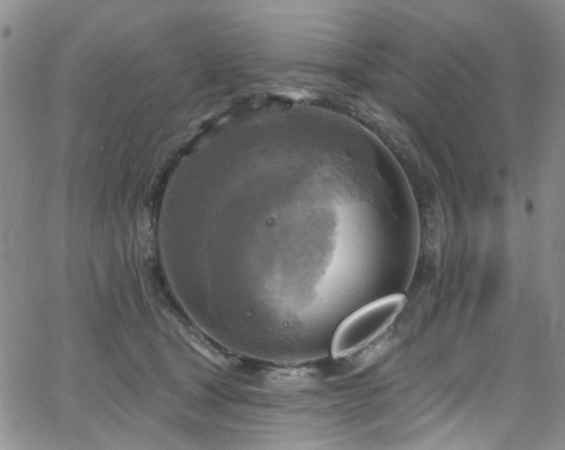 X0000063530465200601201502