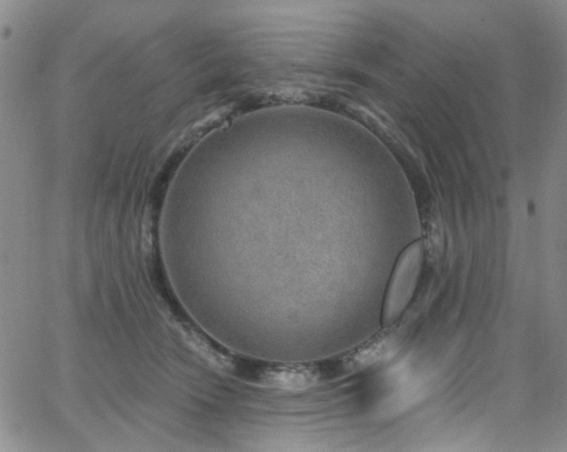 X0000063530466200601201502