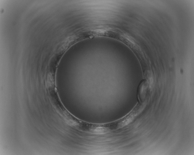 X0000063530467200601201502