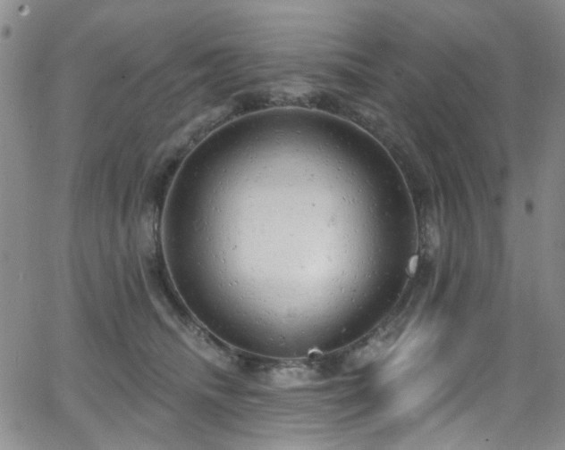 X0000063530468200601201503