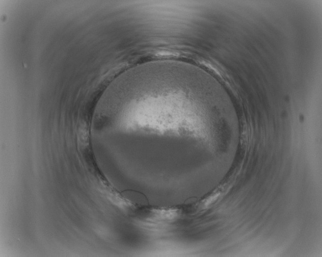 X0000063530469200601201503