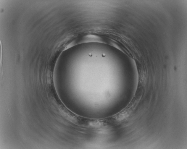 X0000063530470200601201503