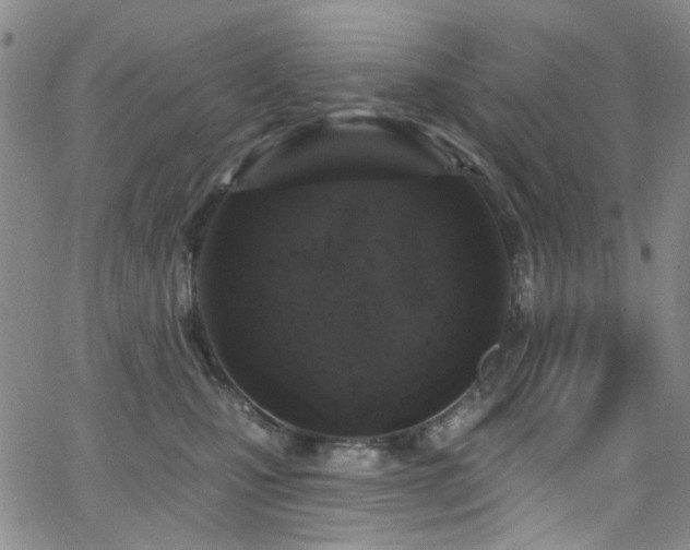 X0000063530471200601201503