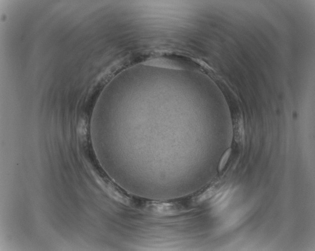 X0000063530472200601201503