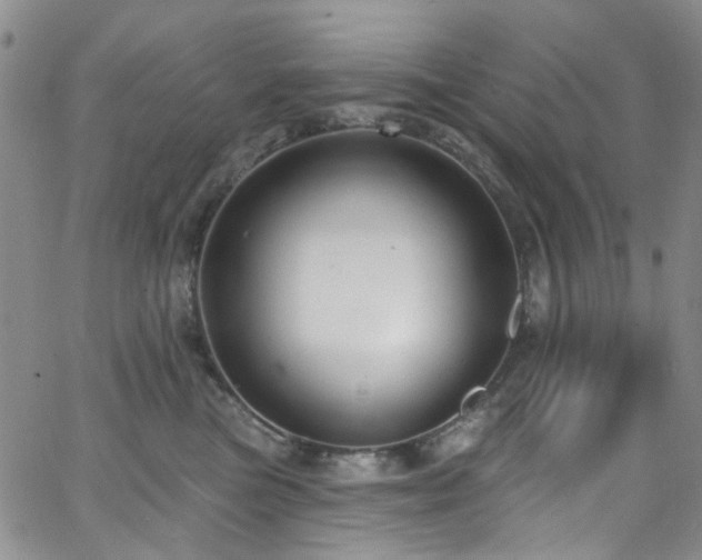 X0000063530473200601201503