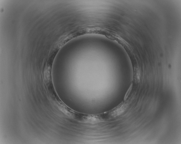 X0000063530475200601201503