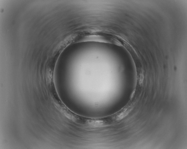 X0000063530476200601201503