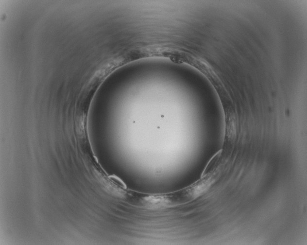 X0000063530477200601201503