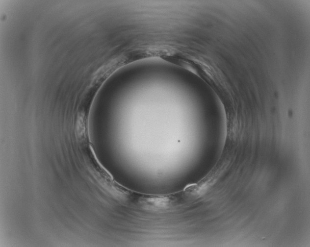 X0000063530478200601201503