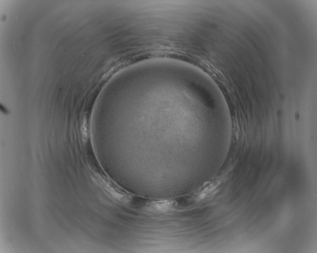 X0000063530479200601201503