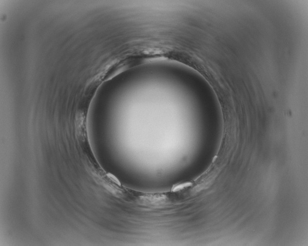 X0000063530480200601201503