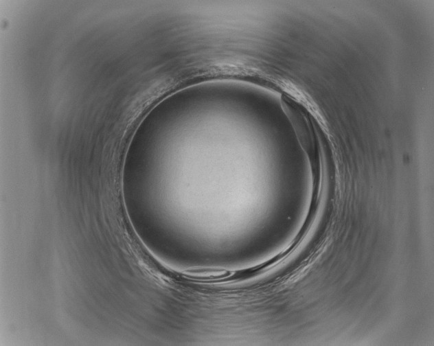 X0000063530481200601201502