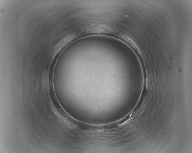 X0000063530482200601201502