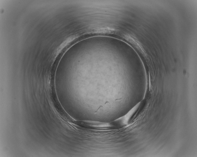 X0000063530483200601201502