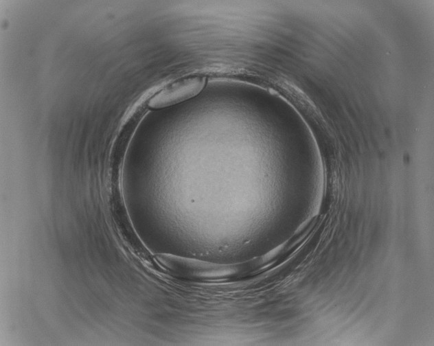 X0000063530484200601201502