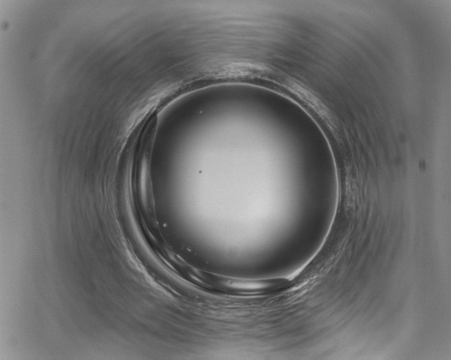 X0000063530485200601201502