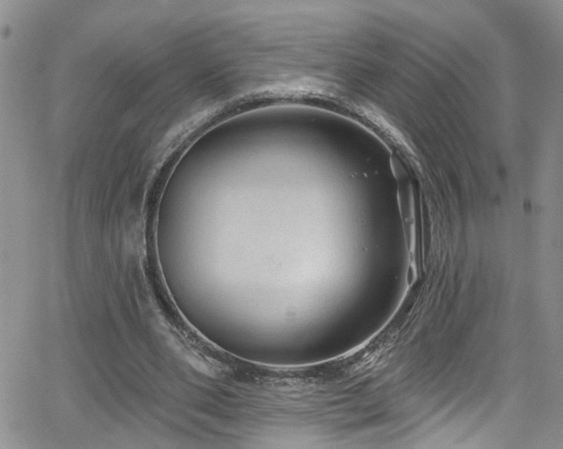 X0000063530486200601201502