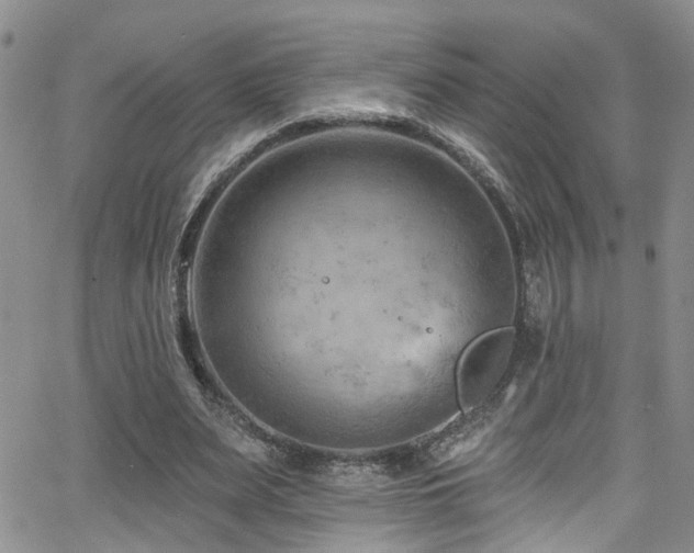 X0000063530487200601201502