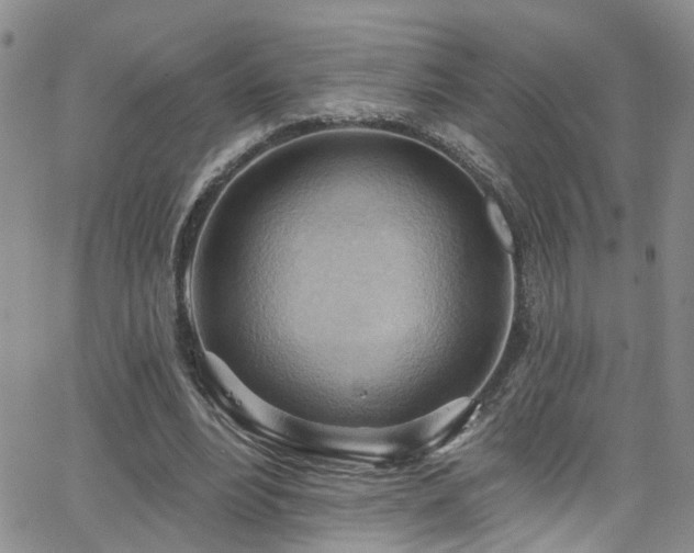 X0000063530488200601201502