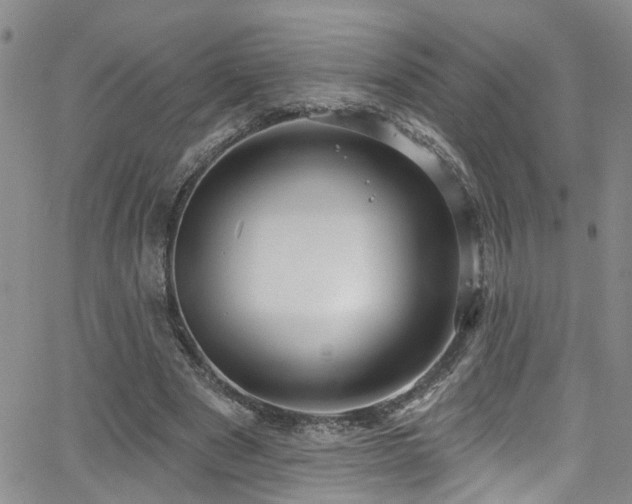 X0000063530489200601201502