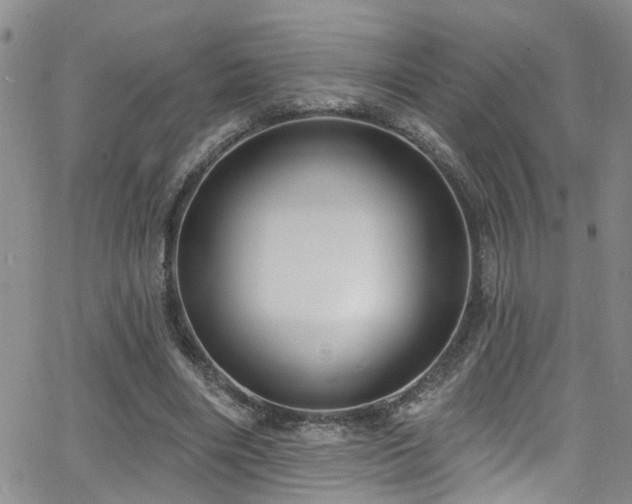 X0000063530490200601201502