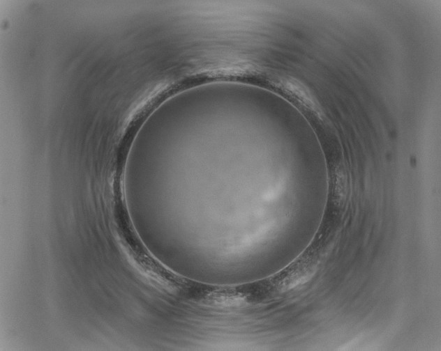 X0000063530491200601201502