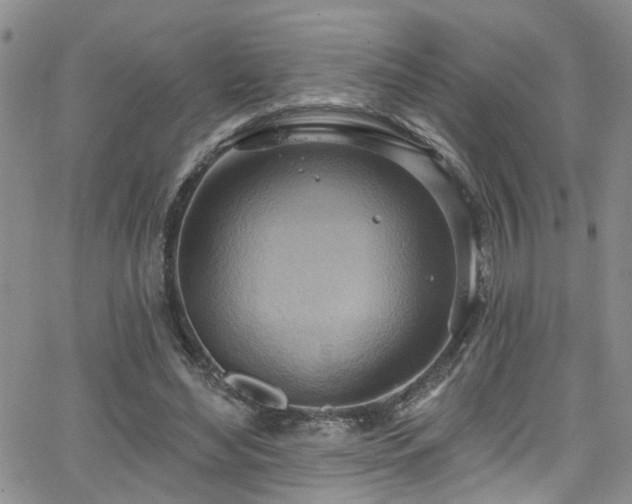 X0000063530492200601201502