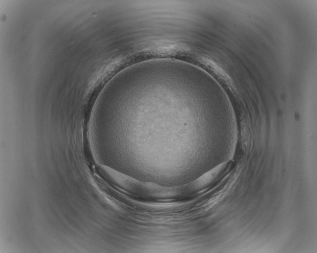 X0000063530493200601201502