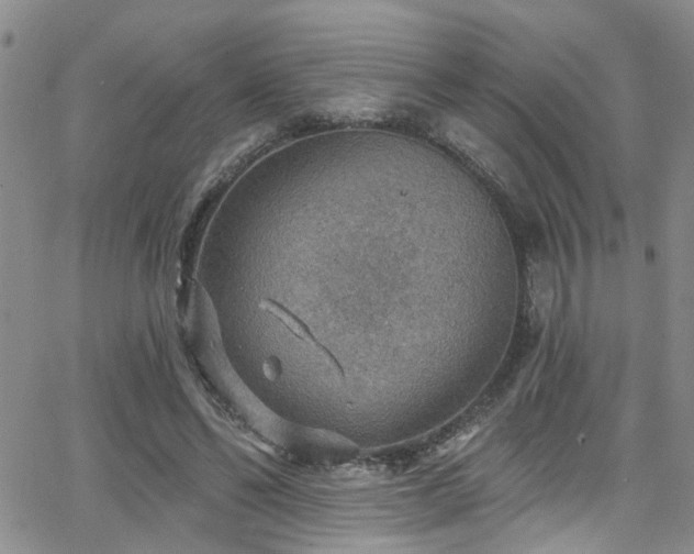 X0000063530494200601201502