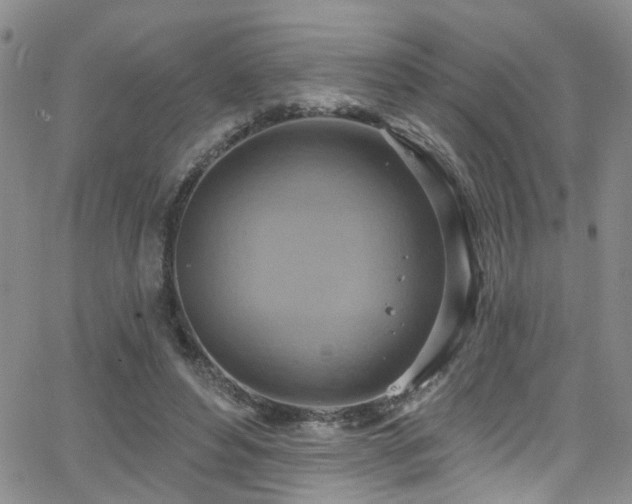 X0000063530496200601201502