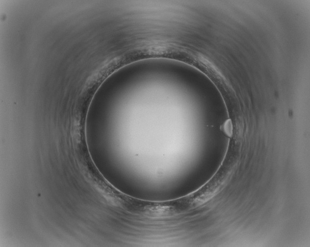 X0000063530497200601201502