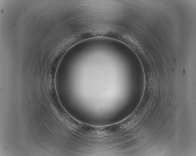 X0000063530498200601201502