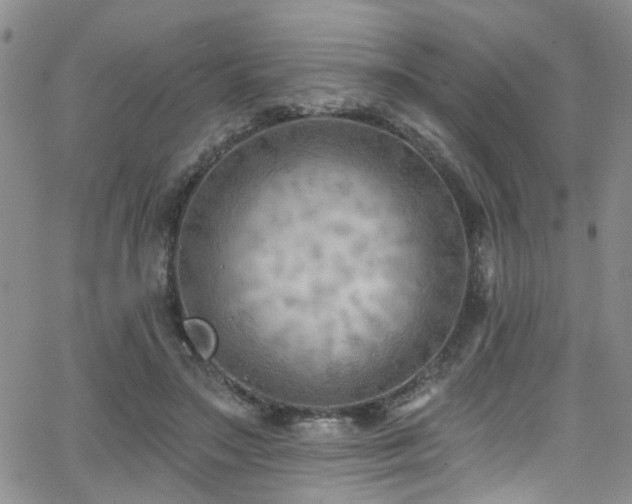 X0000063530499200601201502