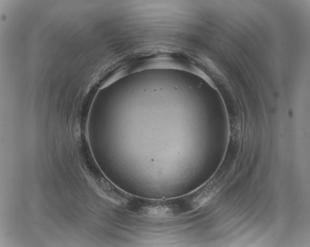 X0000063530500200601201502