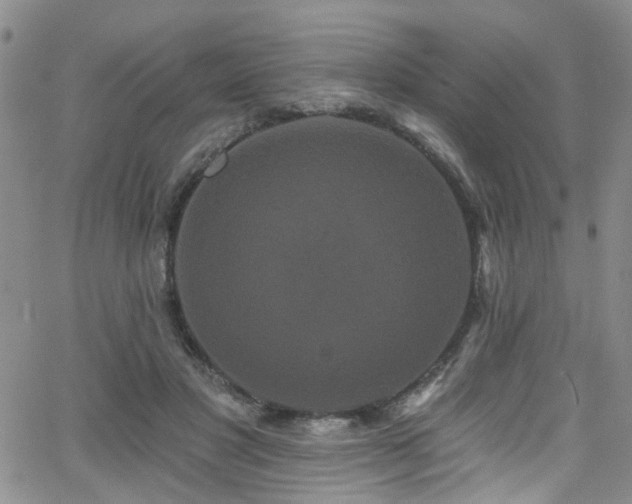 X0000063530501200601201502