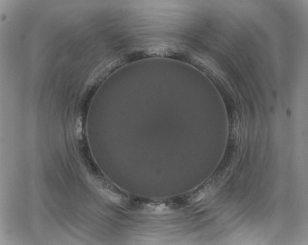 X0000063530502200601201502