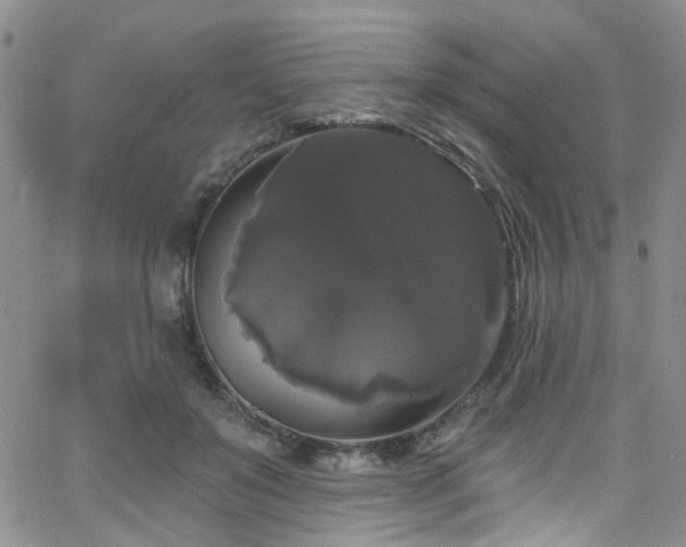 X0000063530503200601201502