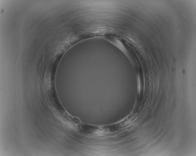 X0000063530504200601201502