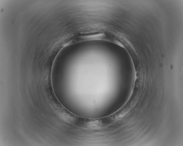 X0000063530505200601201502