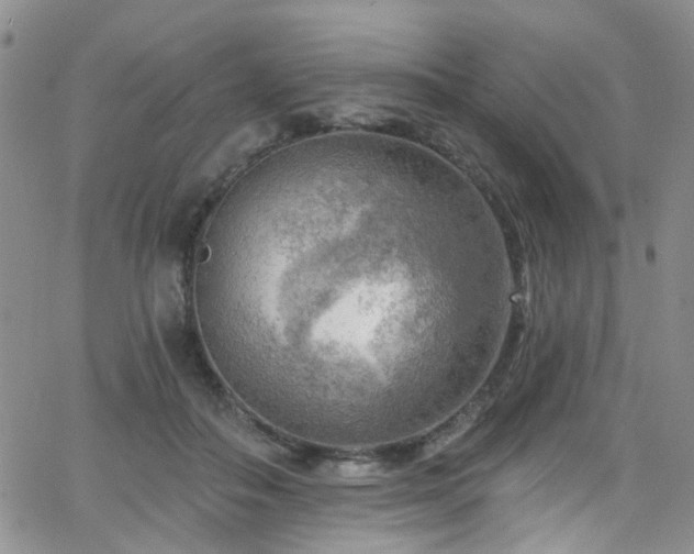 X0000063530506200601201502